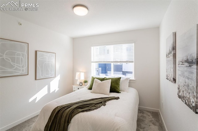 bedroom featuring carpet flooring