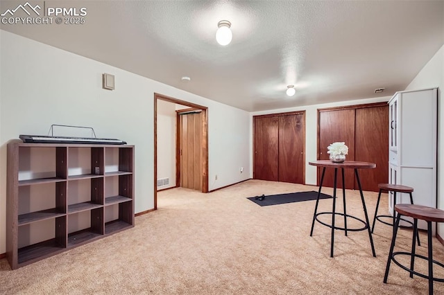 interior space with light carpet and a textured ceiling