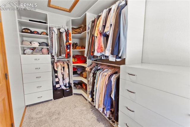 walk in closet featuring light carpet