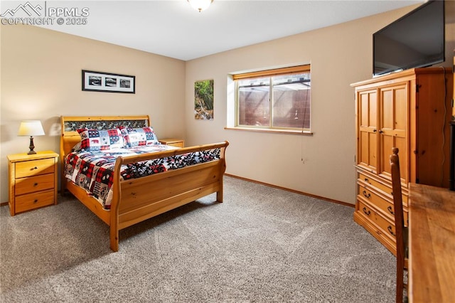 view of carpeted bedroom