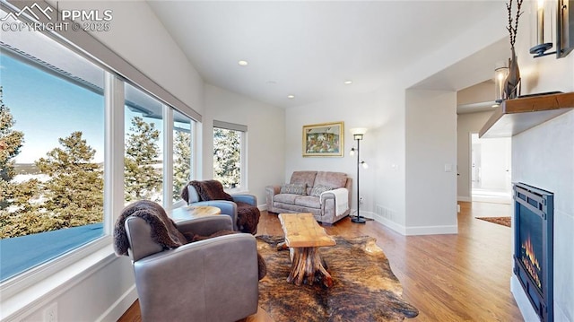 living room with light hardwood / wood-style flooring