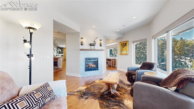 living room featuring light wood-type flooring