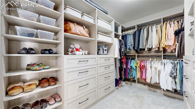 walk in closet with light colored carpet