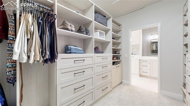 walk in closet featuring light colored carpet