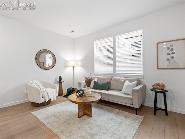 living room featuring light hardwood / wood-style flooring