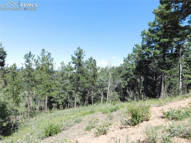 13670 Spruce Creek Cir, Larkspur CO, 80118 land for sale