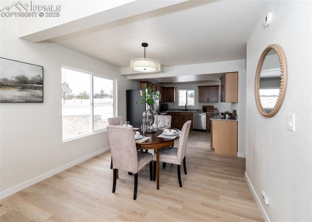 dining room featuring light hardwood / wood-style floors, sink, and a wealth of natural light