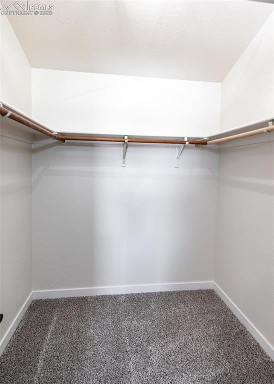 walk in closet with dark carpet