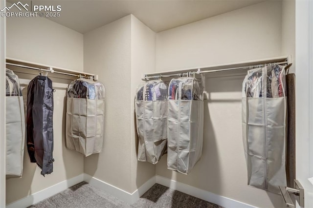 spacious closet with carpet