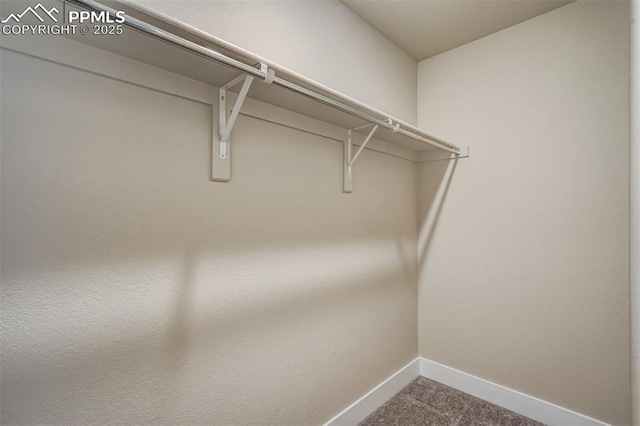 walk in closet featuring carpet floors