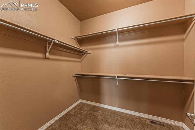 spacious closet featuring carpet floors