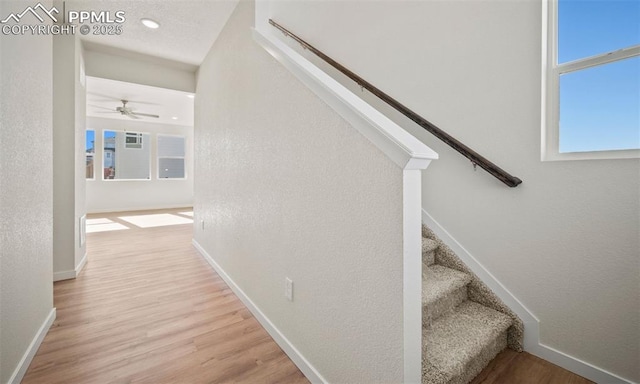 staircase featuring hardwood / wood-style flooring and ceiling fan