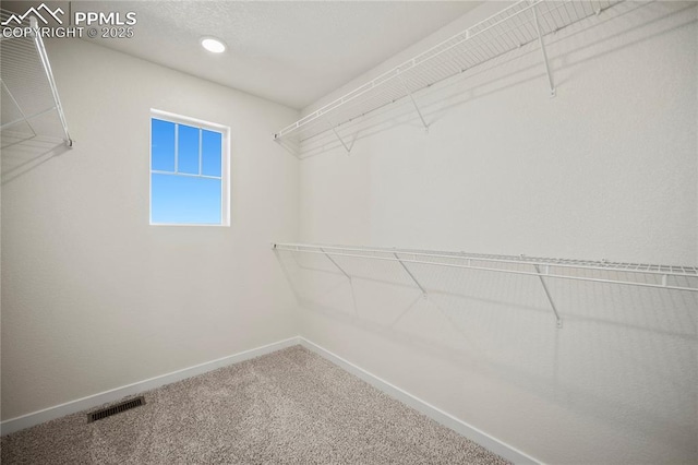 walk in closet featuring carpet flooring