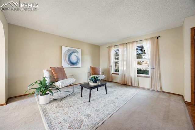 living area with carpet floors, baseboards, and a textured ceiling