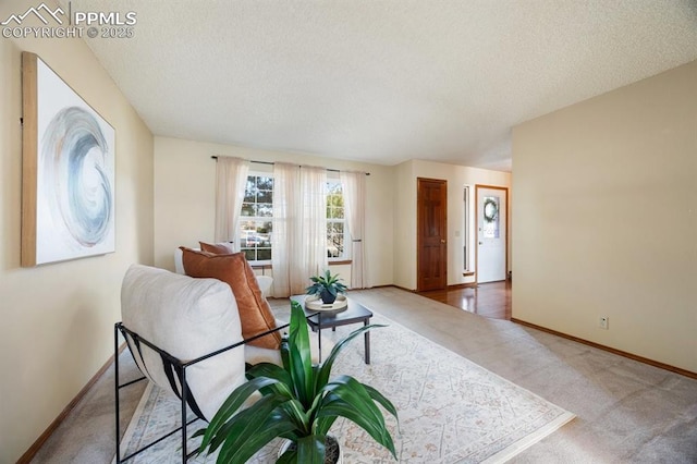 living area with carpet flooring, a textured ceiling, and baseboards