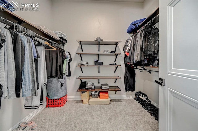 spacious closet featuring carpet flooring