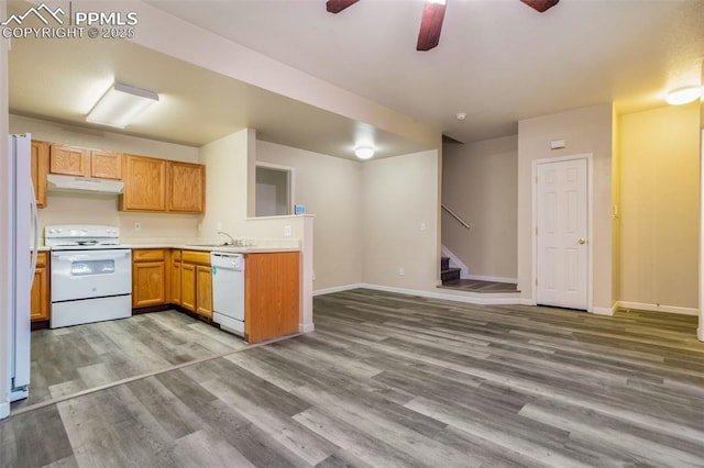 kitchen with ceiling fan, white appliances, wood-type flooring, and sink