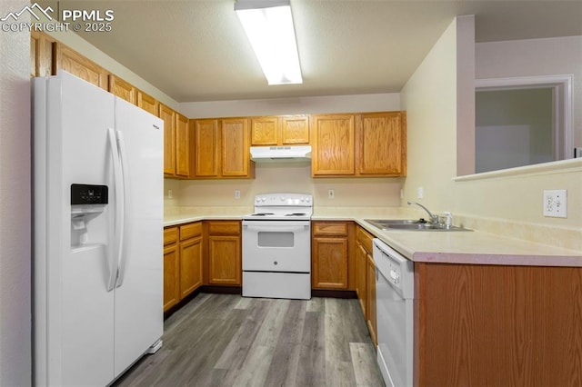 kitchen with wood-type flooring, sink, and white appliances