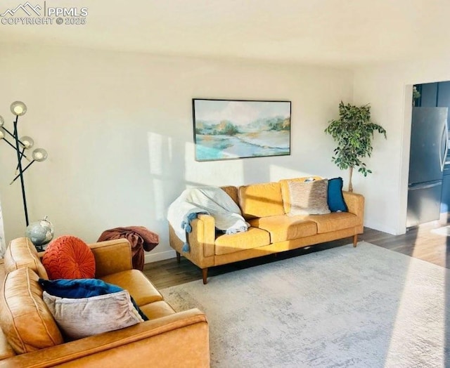 living room featuring wood-type flooring