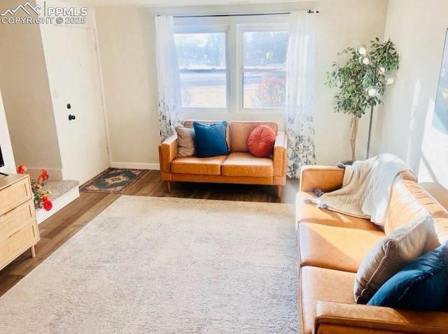 living area featuring dark hardwood / wood-style floors