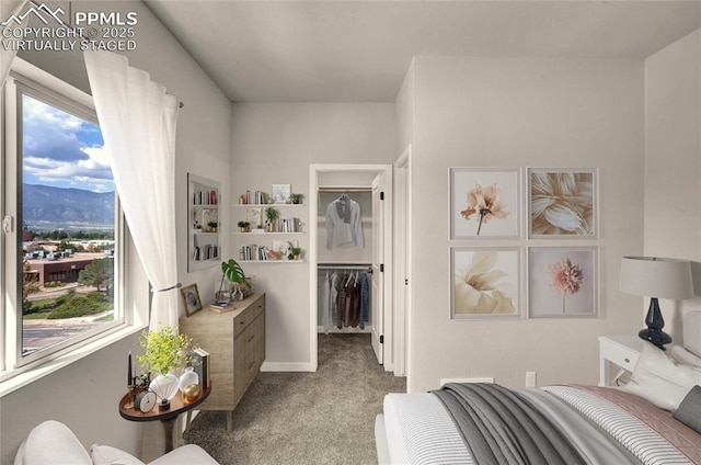 bedroom featuring carpet floors, multiple windows, a mountain view, and a spacious closet