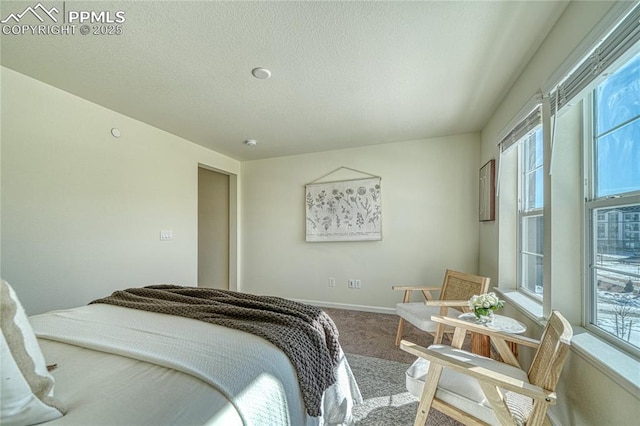 bedroom featuring carpet floors and a textured ceiling