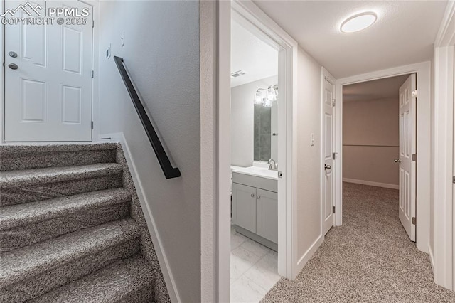 staircase featuring carpet floors