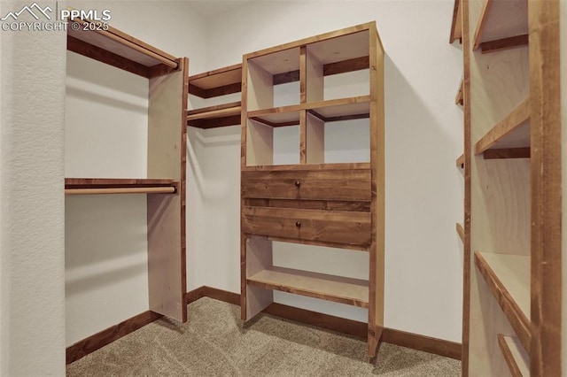 spacious closet with carpet floors