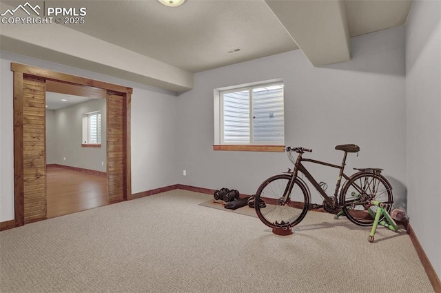 workout area featuring carpet flooring