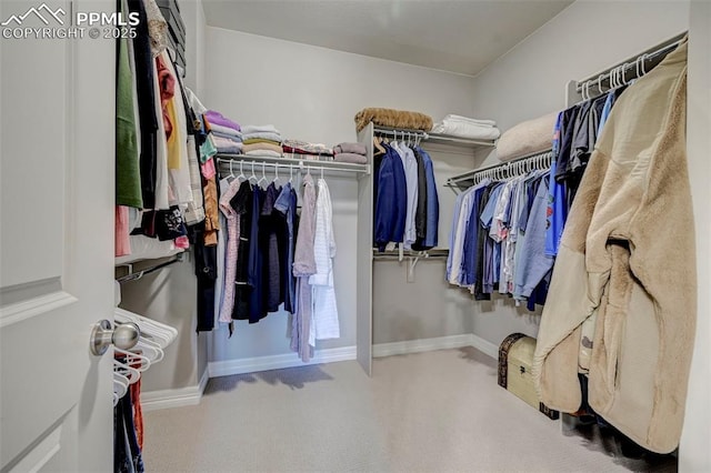 spacious closet featuring carpet flooring