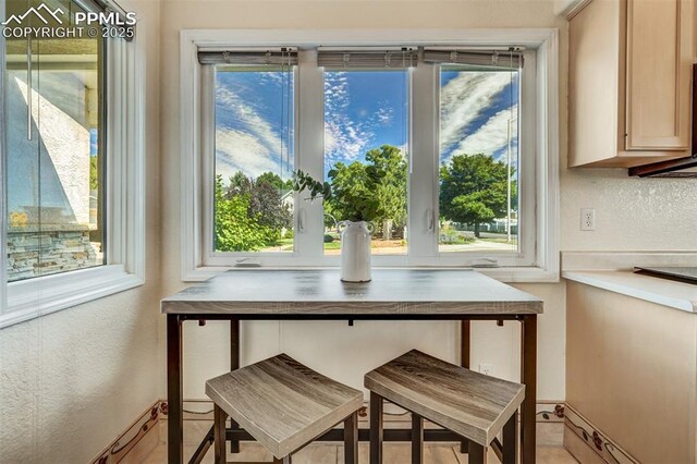 view of dining space