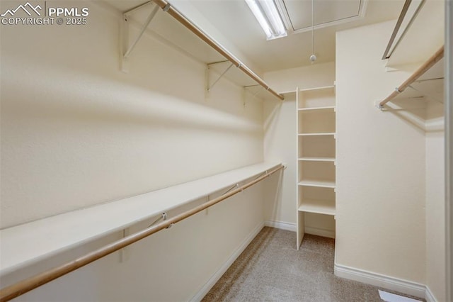 spacious closet featuring light colored carpet