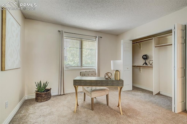 office space featuring light colored carpet and a textured ceiling