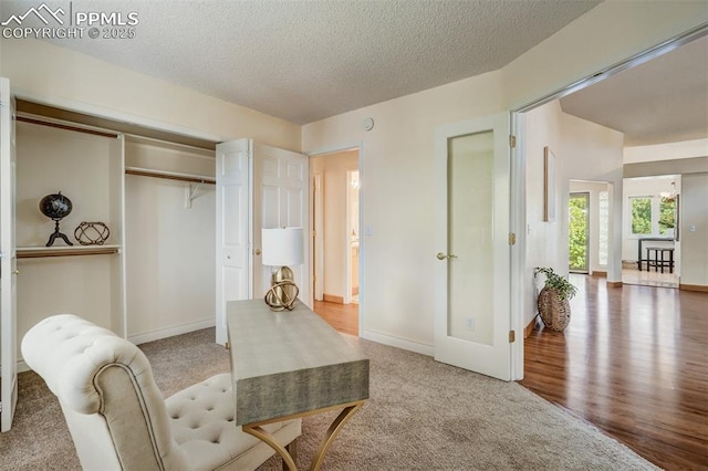 carpeted office with a textured ceiling