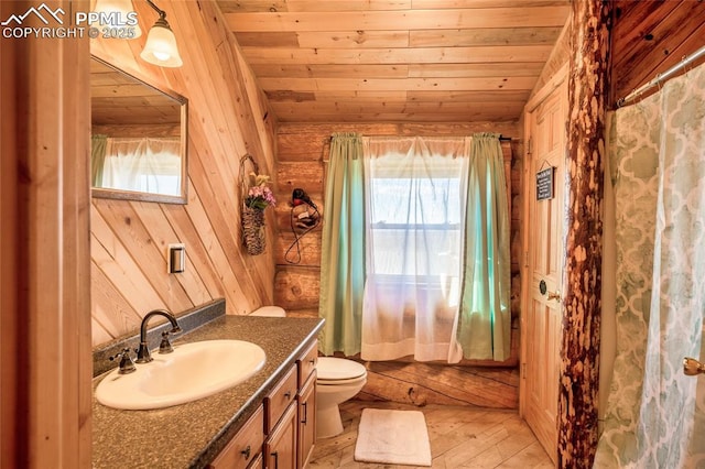 bathroom featuring vanity, plenty of natural light, wood ceiling, and toilet