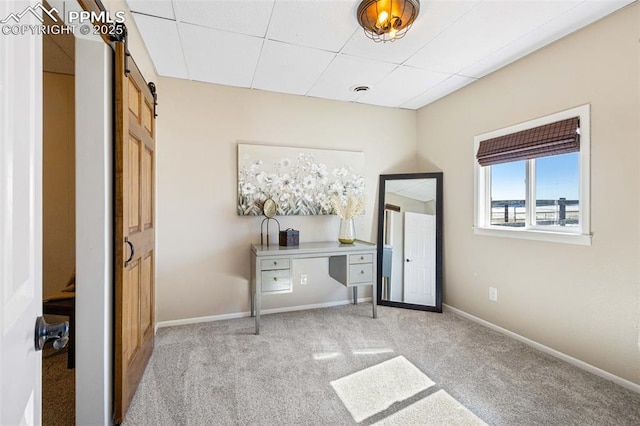 unfurnished bedroom featuring light colored carpet, a barn door, and a paneled ceiling