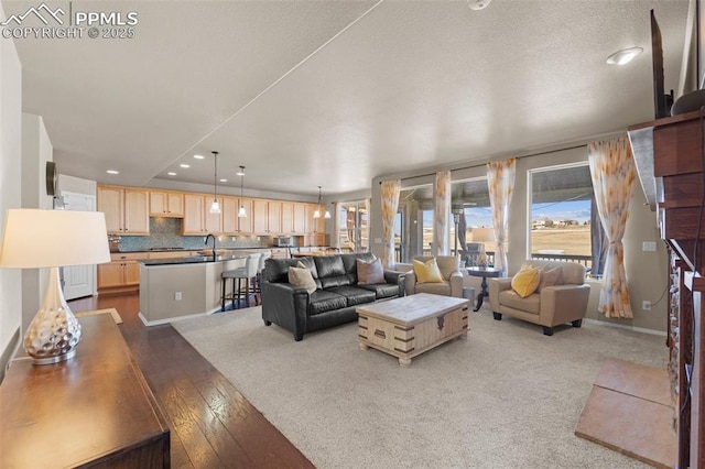 living room with sink and hardwood / wood-style flooring