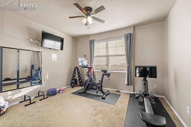 exercise room with ceiling fan and carpet