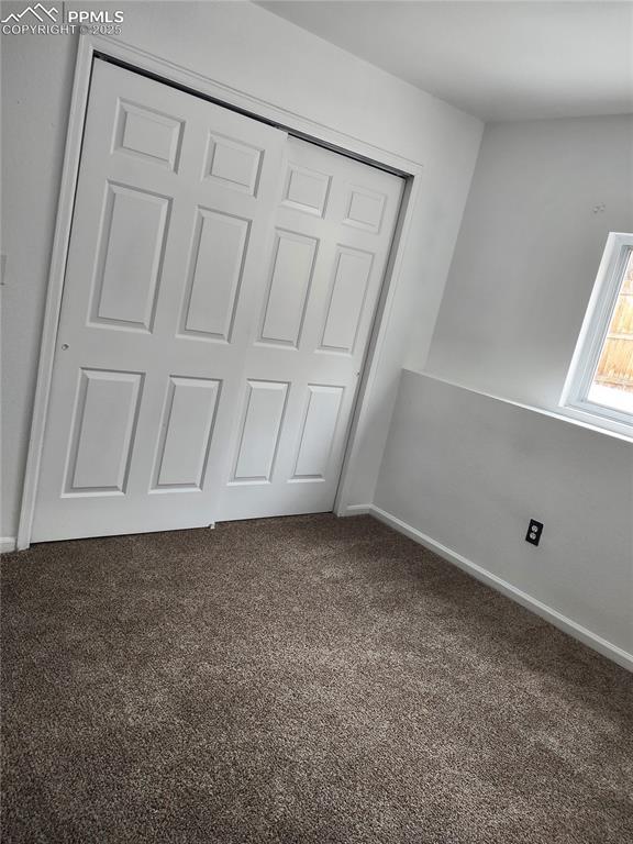 interior details featuring carpet flooring