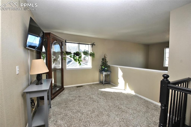 living area with carpet floors and a wealth of natural light