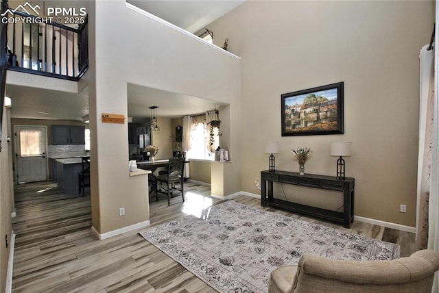 living room with hardwood / wood-style floors and a high ceiling