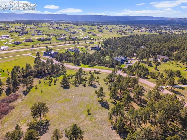 3429 Blue Heron Spring Ln, Colorado Springs, CO 80908