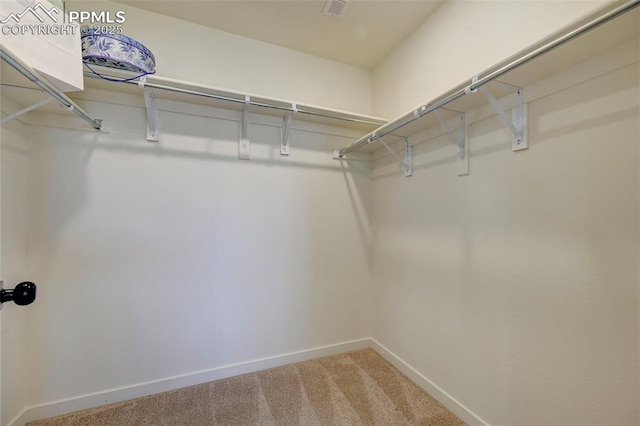 walk in closet featuring carpet floors