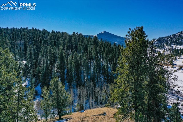 456 Idlewild Dr, Cripple Creek, CO 80813