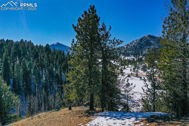 456 Idlewild Dr, Cripple Creek, CO 80813