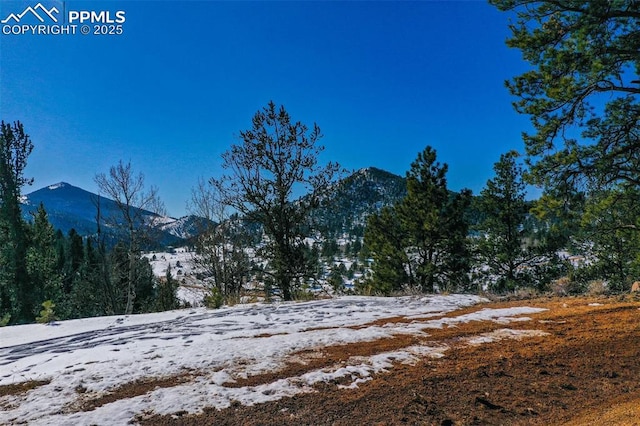 456 Idlewild Dr, Cripple Creek, CO 80813
