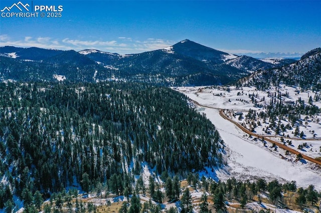 456 Idlewild Dr, Cripple Creek, CO 80813