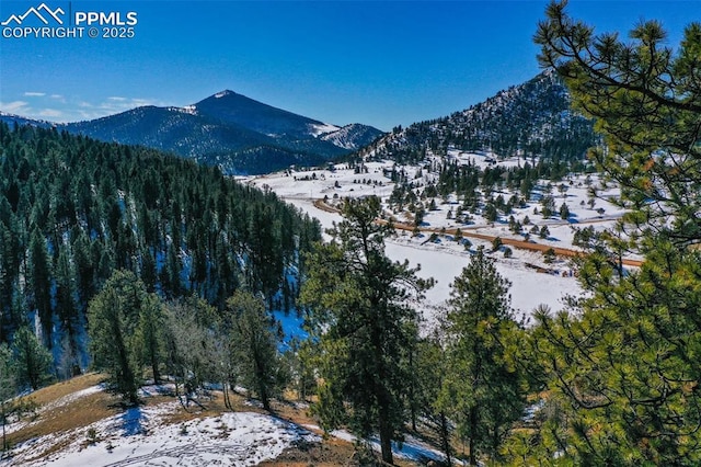 456 Idlewild Dr, Cripple Creek, CO 80813