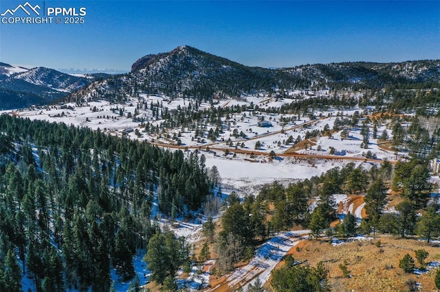 456 Idlewild Dr, Cripple Creek, CO 80813