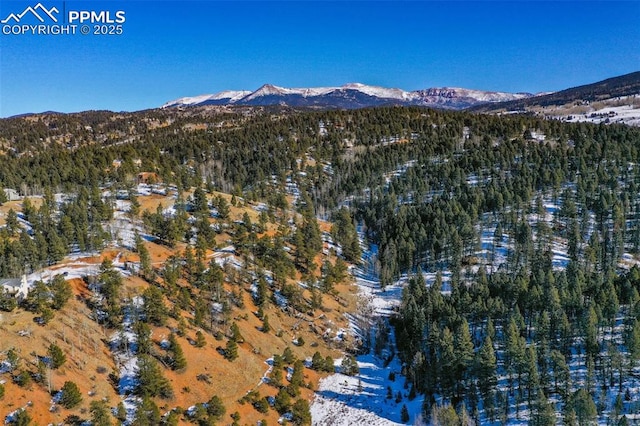 456 Idlewild Dr, Cripple Creek, CO 80813